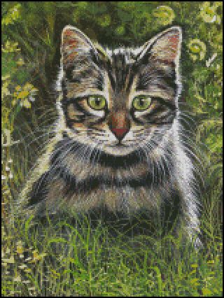 (image for) Tiger in the Grass